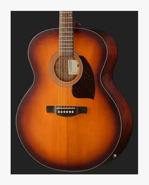 Ibanez PJ50E-OAH, paletta e meccaniche, scatto 4
