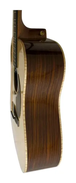 Journey Instruments Comfort Dreadnought JCD422, fondo e fasce, scatto 4