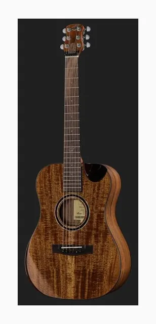 Journey Instruments OF882C Acacia Acoustic, fondo e fasce, scatto 2