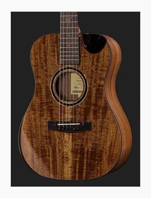 Journey Instruments OF882C Acacia Acoustic, paletta e meccaniche, scatto 4