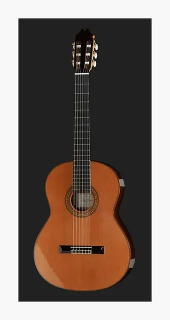 Juan Hernandez Profesor Cedar, ponte e cordiera, scatto 2