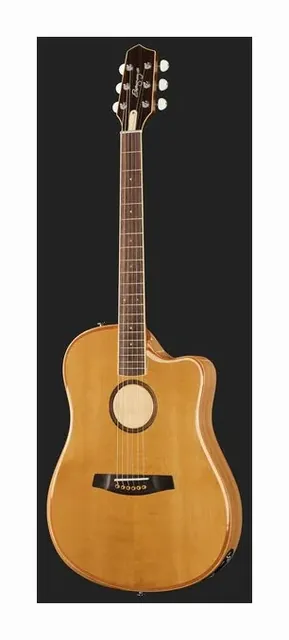 L.R.Baggs AEG 1 E-Acoustic Torrefied, tastiera e capotasto, scatto 2