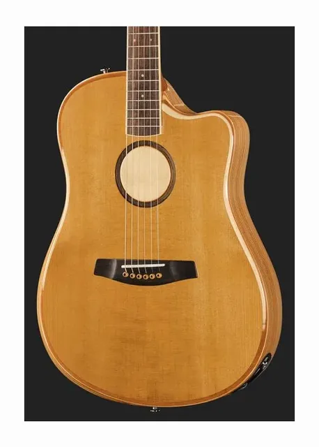 L.R.Baggs AEG 1 E-Acoustic Torrefied, fondo e fasce, scatto 4