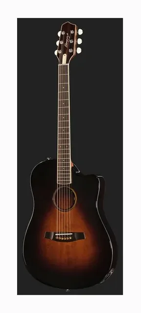 L.R.Baggs AEG 1 E- Acoustic Sunburst, tastiera e capotasto, scatto 2