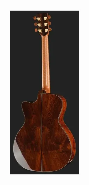 Lakewood M-Cocobolo Custom, buca e rosetta, scatto 3