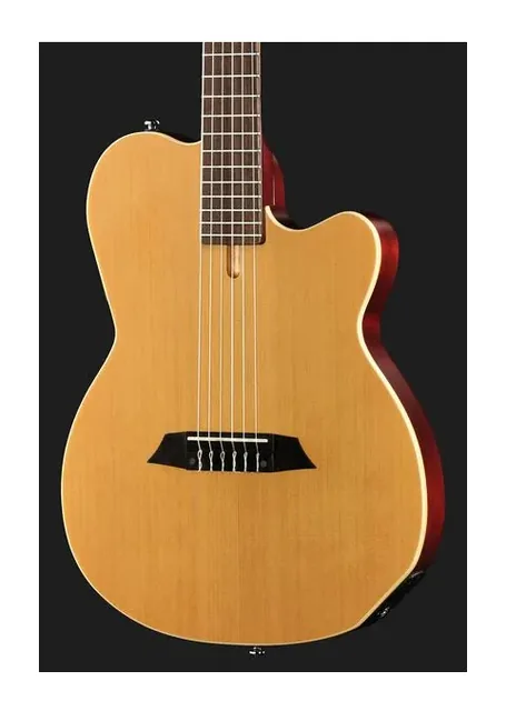 Larry Carlton G5N Natural, paletta a finestre e meccaniche, scatto 4