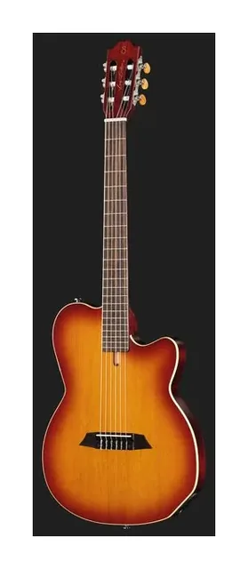 Larry Carlton G5N Tobacco Sunburst, buca e rosetta, scatto 2