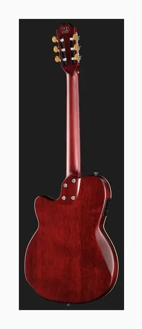 Larry Carlton G5N Tobacco Sunburst, buca e rosetta, scatto 3