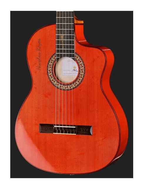 Manuel Rodriguez SUPERIOR Flamenco GK-RO-RCE, fondo e fasce, scatto 4