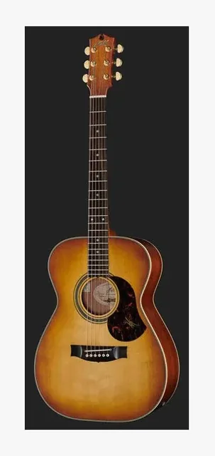 Maton EBG808 Nashville, buca e rosetta, scatto 2