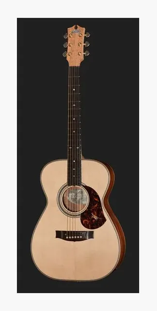 Maton EBG808A w/ Case, cassa vista di fronte, scatto 2