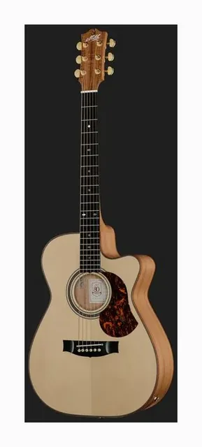 Maton EBG808C Michael Fix /w Case, cassa vista di fronte, scatto 2