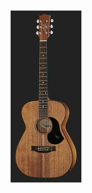 Maton EBW808 Blackwood, buca e rosetta, scatto 2