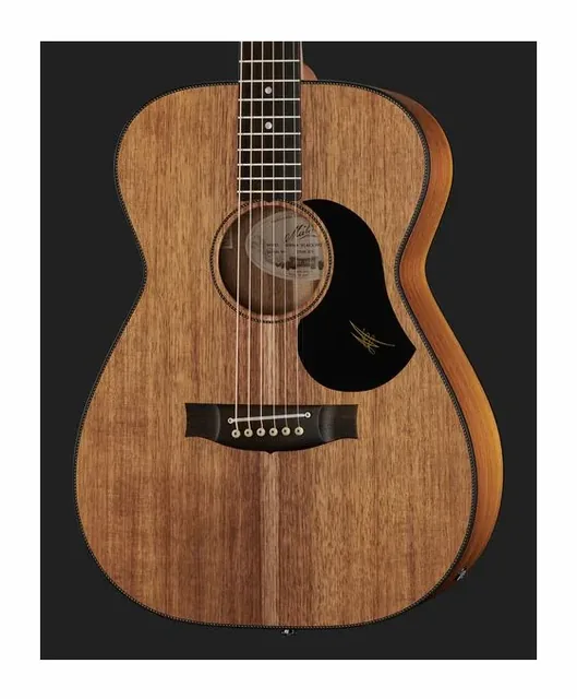 Maton EBW808 Blackwood, buca e rosetta, scatto 4