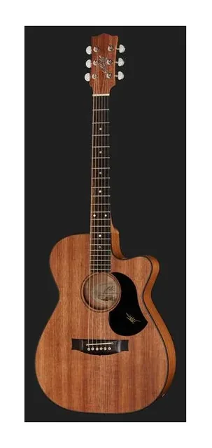 Maton EBW808C Blackwood, tastiera e capotasto, scatto 2
