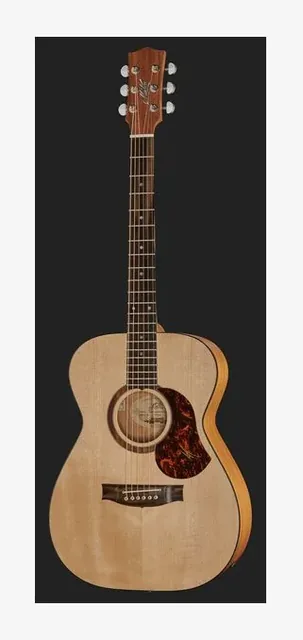 Maton SRS808, tastiera e capotasto, scatto 2