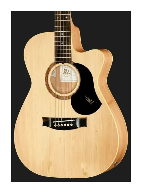 Maton The Performer, paletta e meccaniche, scatto 4