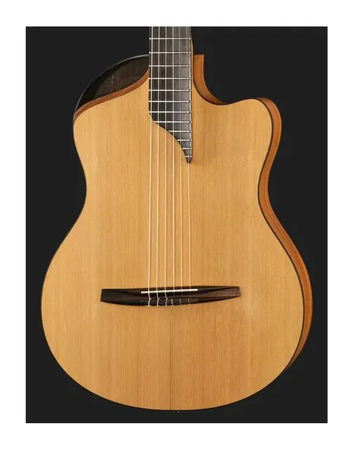 NOVA Guitars Innovator w/PU, cassa vista di fronte, scatto 4