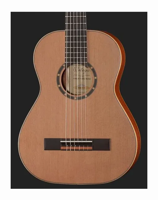 Ortega R122-1/2, fondo e fasce, scatto 4