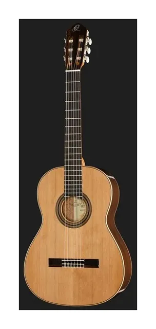 Ortega R19G, paletta a finestre e meccaniche, scatto 2