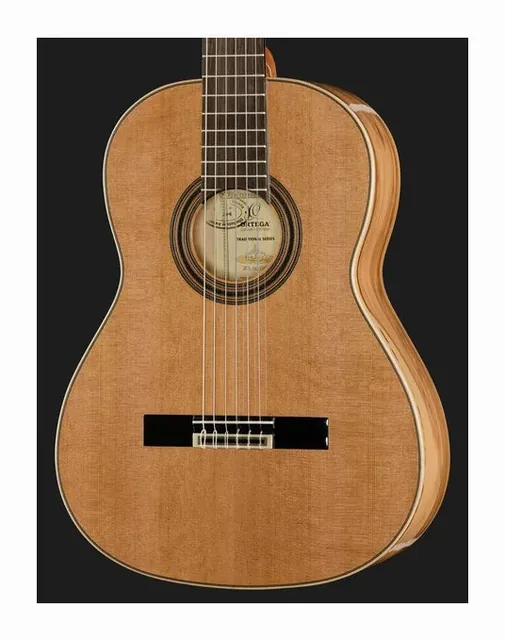 Ortega R20GRG, tastiera e capotasto, scatto 4