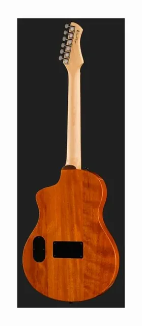 Ortega RTPG-LS2, cassa vista di fronte, scatto 3