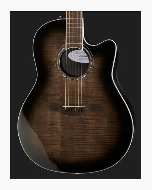 Ovation Celebrity Tradition CS-24P-TBB, paletta e meccaniche, scatto 4