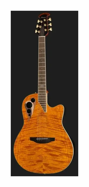 Ovation Celebrity Elite Deluxe CDX40P, paletta e meccaniche, scatto 2