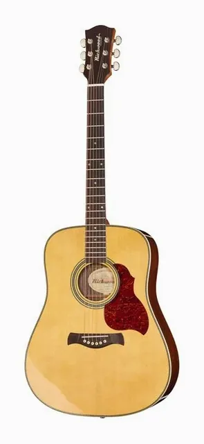 Richwood D-65-VA Master Series su sfondo neutro