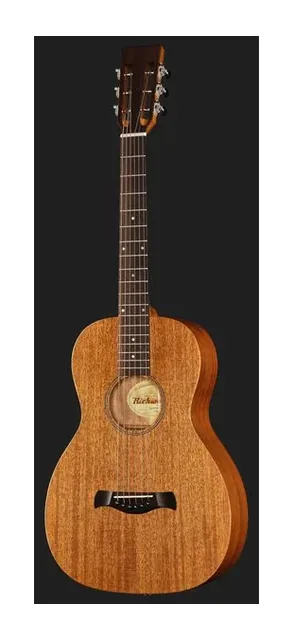 Richwood P-50 Parlor, cassa vista di fronte, scatto 2