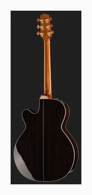 Takamine DSF48C, buca e rosetta, scatto 3