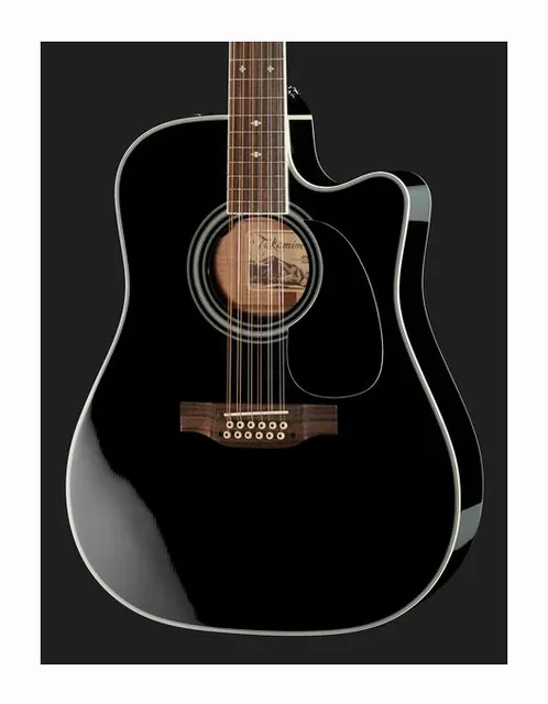 Takamine EF381SC w/Softcase, buca e rosetta, scatto 4