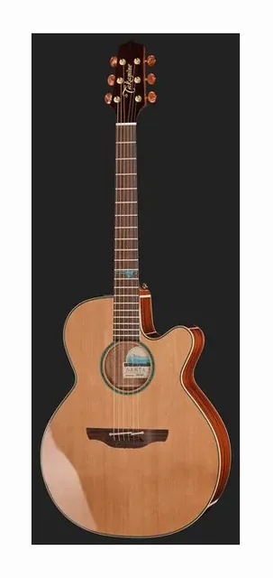 Takamine FSF40C, tastiera e capotasto, scatto 2