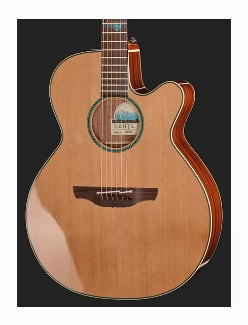 Takamine FSF40C, buca e rosetta, scatto 4