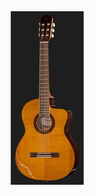 Takamine GC5CE Natur, fondo e fasce, scatto 2