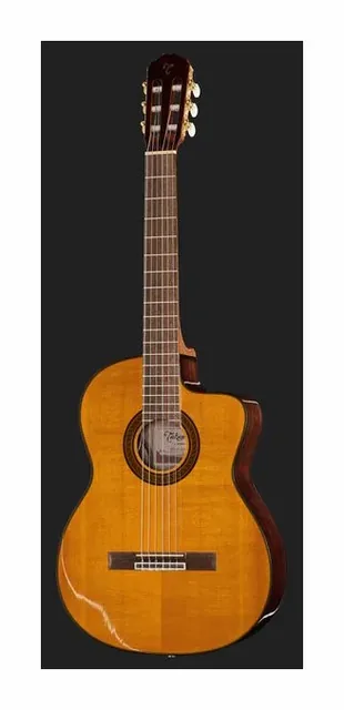 Takamine GC5CE Natural w/Bag, tastiera e capotasto, scatto 2