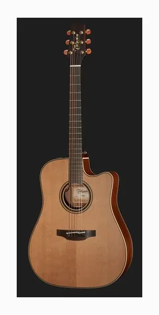 Takamine P3DC w/Softcase, buca e rosetta, scatto 2