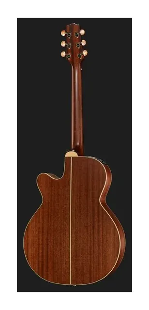 Takamine P3NC Pro Series w/Softcase, buca e rosetta, scatto 3