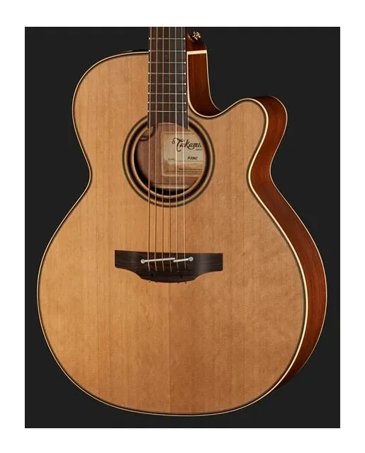 Takamine P3NC Pro Series w/Softcase, ponte e selletta, scatto 4