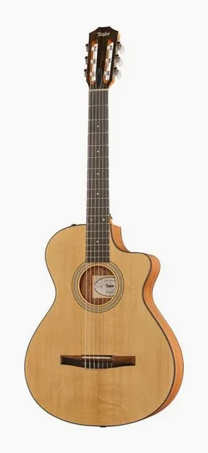 Taylor 112ce-N vista di fronte