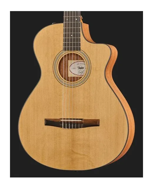 Taylor 112ce-N, fondo e fasce, scatto 4