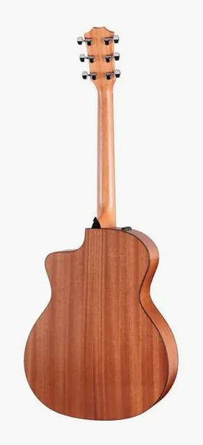 Taylor 114ce Special Edition DTB, buca e rosetta, scatto 2