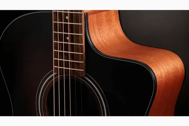 Taylor 114ce Special Edition DTB, cassa vista di fronte, scatto 3