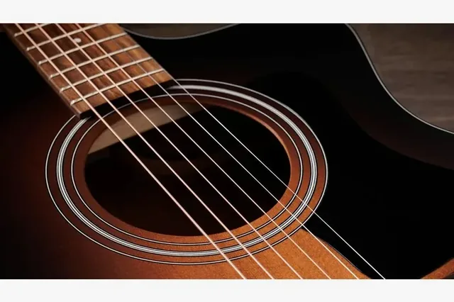 Taylor 114ce Special Edition DTB, ponte e selletta, scatto 4