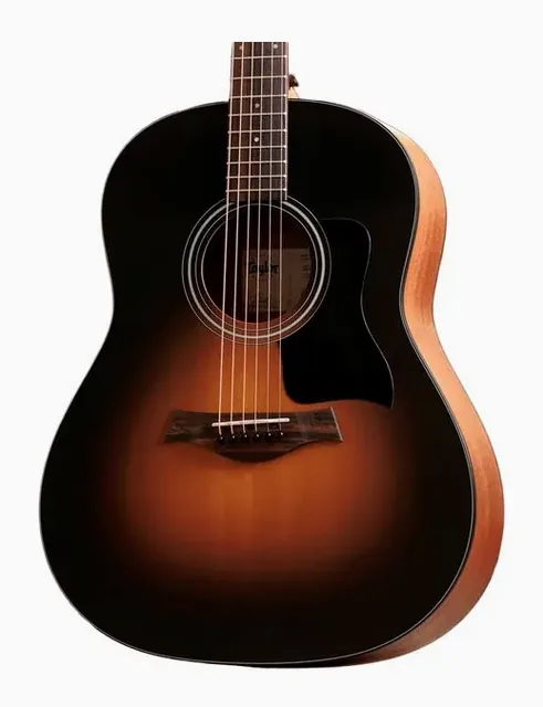 Taylor 117e Special Edition DTB, paletta e meccaniche, scatto 3