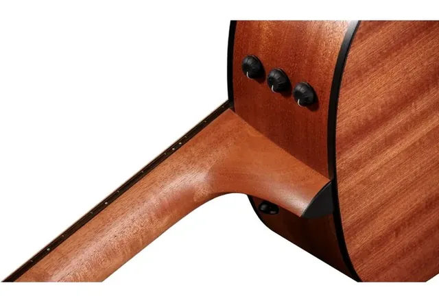 Taylor 117e Special Edition DTB, tastiera e capotasto, scatto 4