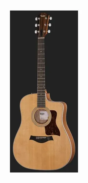 Taylor 210ce, paletta e meccaniche, scatto 2