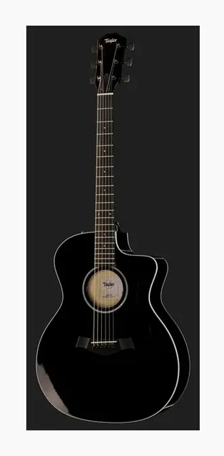 Taylor 214ce-BLK Plus, buca e rosetta, scatto 2