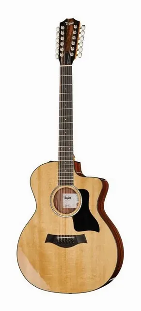 Taylor 254ce Plus di fronte su sfondo neutro