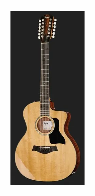 Taylor 254ce Plus, ponte e selletta, scatto 2